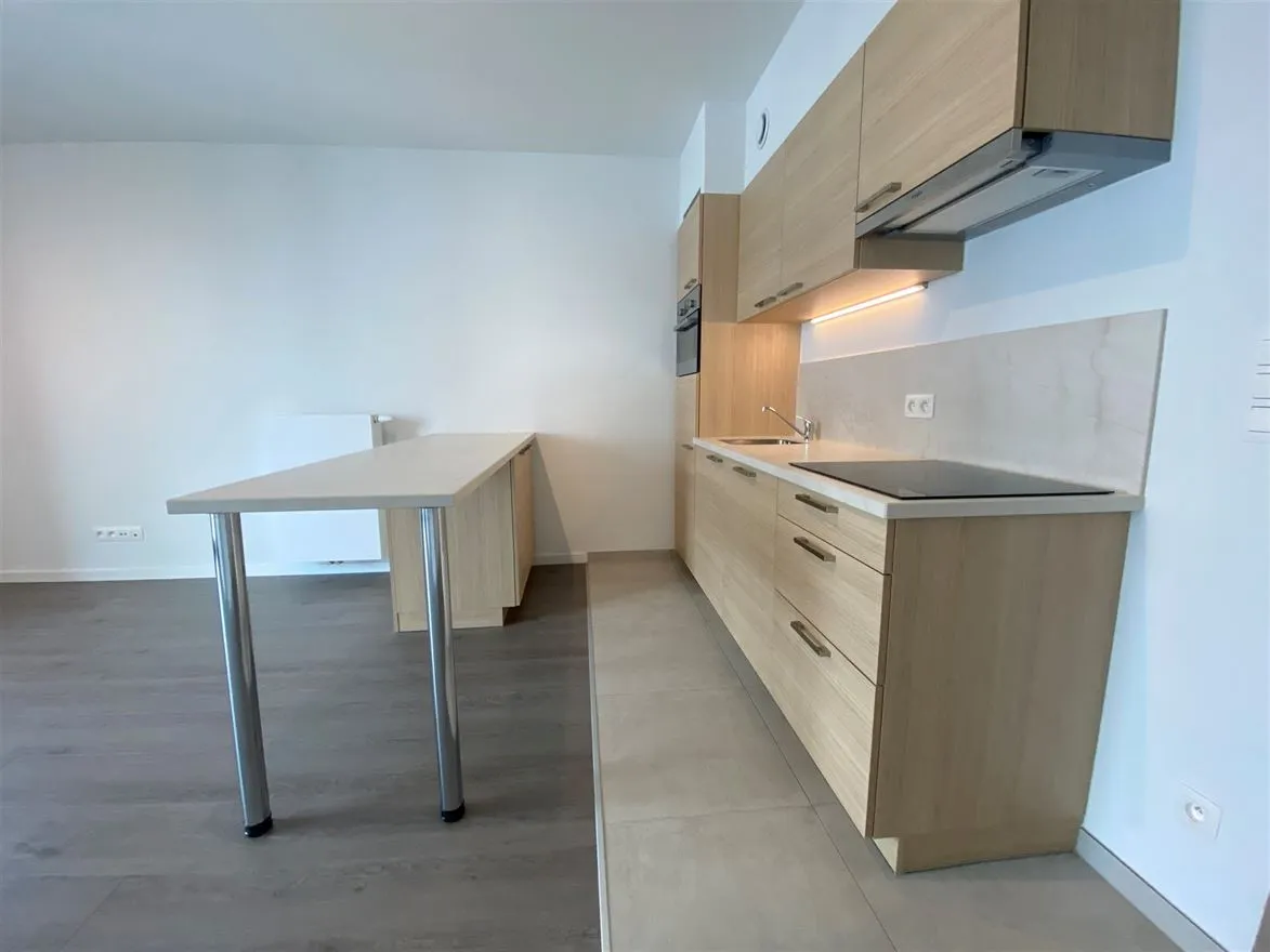 Apartmán Na pronájem - 2018 ANTWERPEN BE Image 4